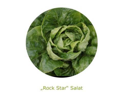 Rockstarsalat